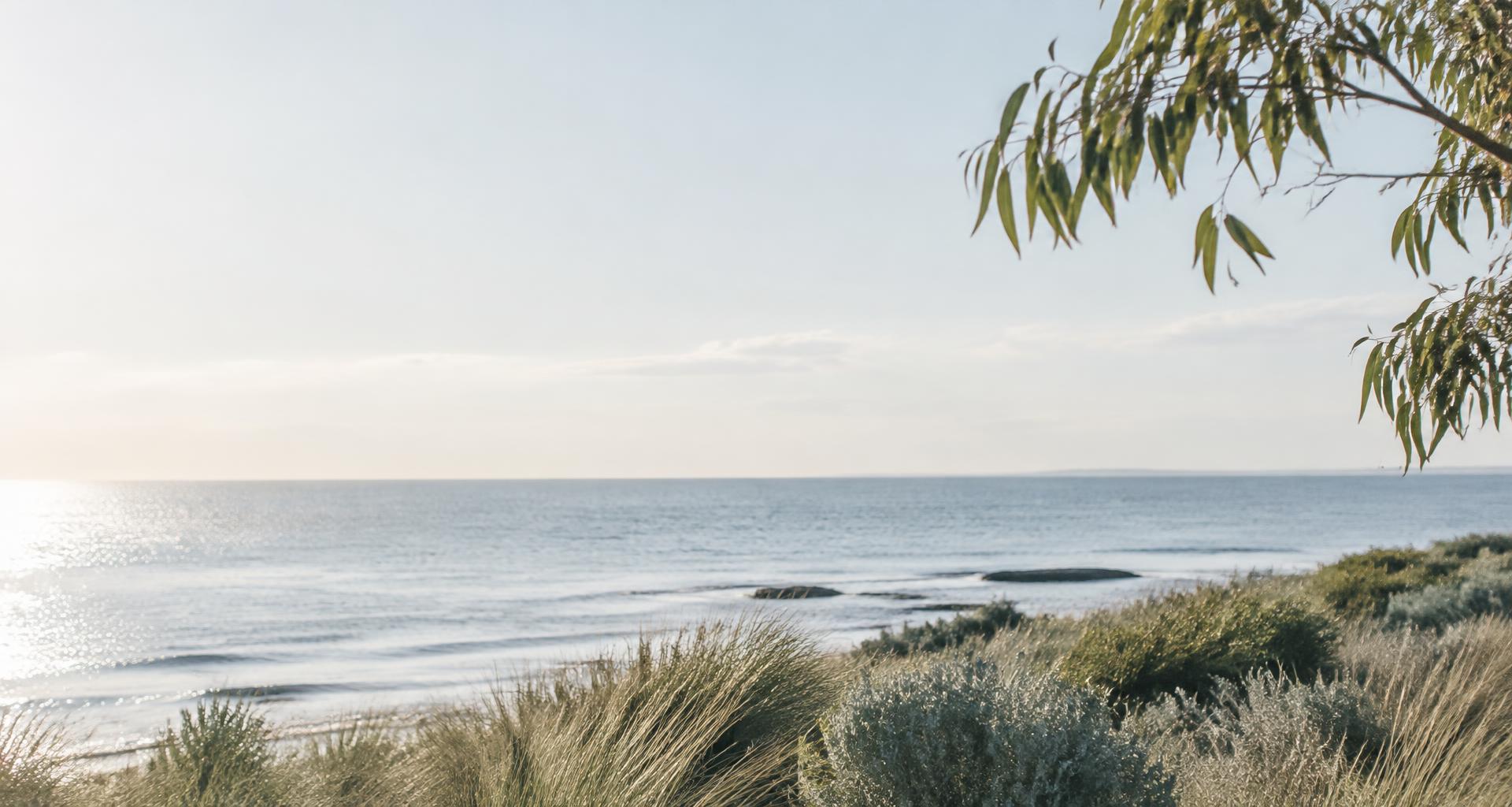 Soft daylight over a quiet bayside coastline
